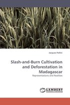 Slash-and-Burn Cultivation and Deforestation in Madagascar