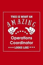 This is What an Amazing Operations Coordinator Look Like