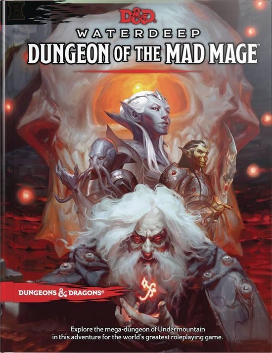 Afbeelding van het spel Dungeon of the Mad Mage