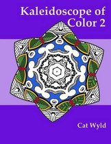 Kaleidoscope of Color 2