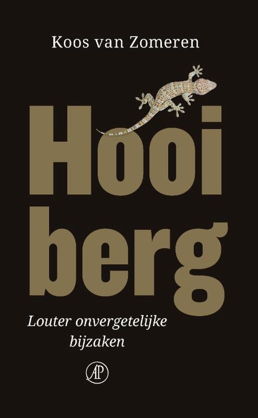 Hooiberg