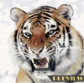 DP® Diamond Painting pakket volwassenen - Afbeelding: Tijgerkop in de sneeuw - 60 x 60 cm volledige bedekking, vierkante steentjes - 100% Nederlandse productie! - Cat.: Dieren - Wilde dieren