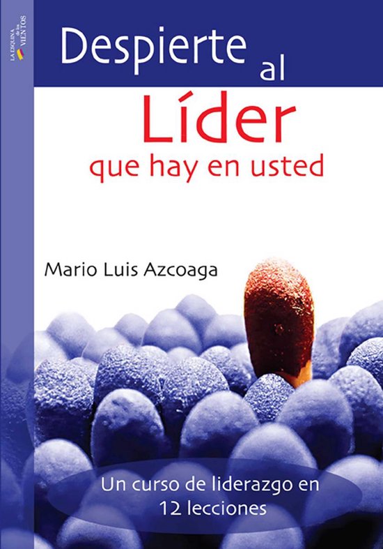 Despierte al líder que hay en usted - cover