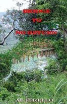 Bridge to No Return