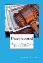 Unrepresented: How to Take Your Ex to Court