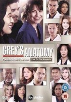 Grey'S Anatomy Season 10 (Import)