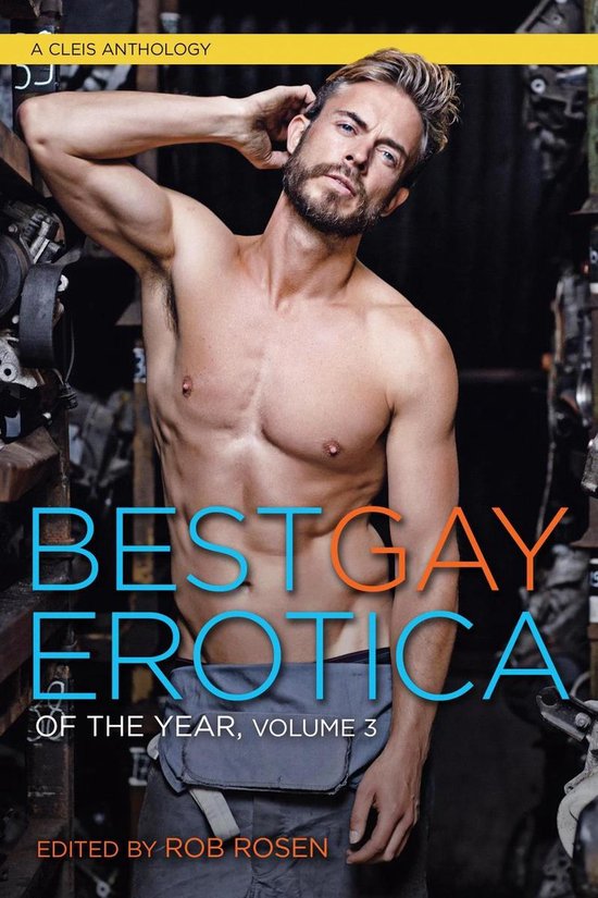 ISBN Best Gay Erotica of the Year, Volume 3, 224 pages