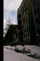 NY Snowstorm