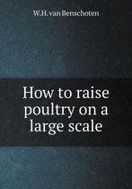 How to raise poultry on a large scale