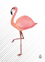 Kaarthouder+5 Kaarten A6 Flamingo-10x15cm-Inclusief houten kaartenhouder naturel-Housevitamin
