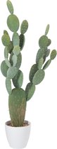J-Line Cactus+Pot Plastic Groen/Melamine Wit Xl