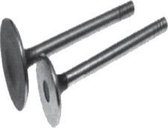 Yanmar Intake valve 1-2-3GM/2GM20F/1GM10/2GM20 105225-11100 (REC105225-11100)