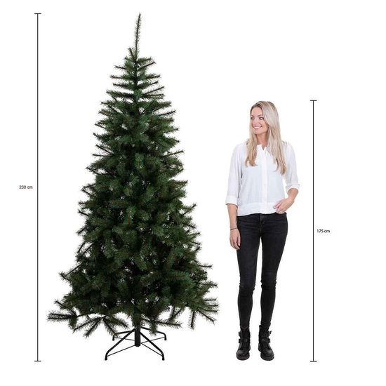 Weihnachtsbaum Maclura h215 cm Black Box Trees