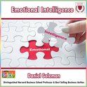 Emotional Intelligence: What Makes a Leader?