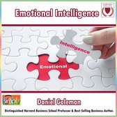 Emotional Intelligence: What Makes a Leader?