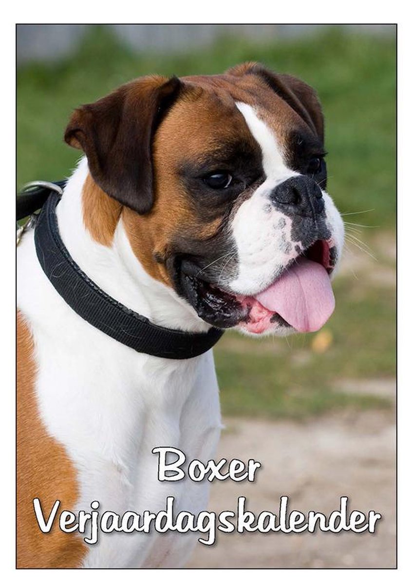 Boxer Verjaardagskalender