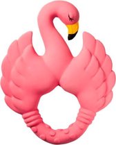 Natruba - Bijtring - Bijtringen - Flamingo