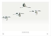 My Deer Art Shop Poster - Cranes Are Flying - 40 X 50 Cm - Blauw
