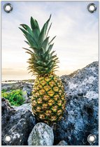 Tuinposter –Ananas op de Rots – 40x60cm Foto op Tuinposter (wanddecoratie voor buiten en binnen)