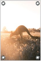 Tuinposter –Kangoeroe bij Zonsopkomst – 40x60cm Foto op Tuinposter (wanddecoratie voor buiten en binnen)