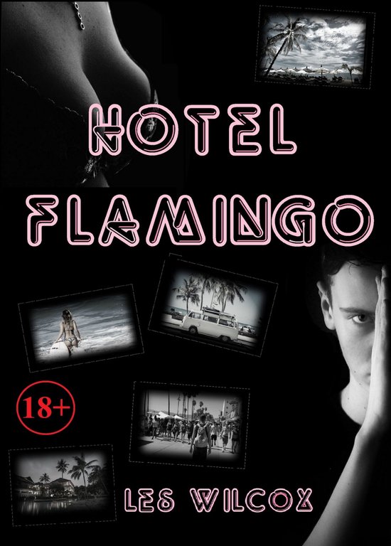 Hotel Flamingo - cover