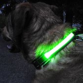 LED Halsband Hond - Lichtgevende Halsband Hond - Groen - XL - 42-56 cm