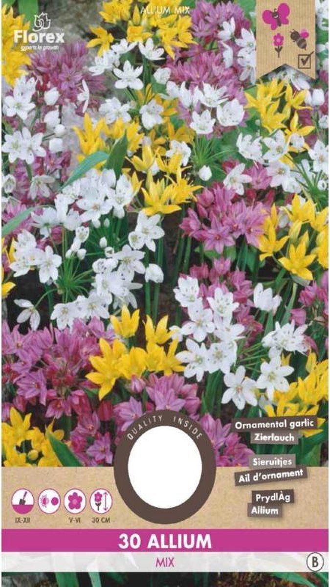 Allium Gemengd 4/5 30stuks