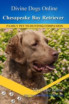 Divine Dogs Online 29 - Chesapeake Bay Retriever