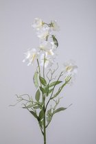Lathyrus - Pronkerwt - zijden bloem - wit - topkwaliteit - 70cm - 3 stuks