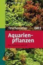 Taschenatlas Aquarienpflanzen