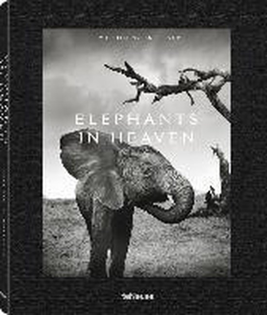 Boekomslag van 'Elephants in Heaven' met een olifant voor een boom.