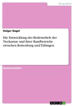 Die Entwicklung des Bodenreliefs der Neckaraue und ihrer Randbereiche zwischen Rottenburg und Tübingen