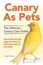 Canary As Pets