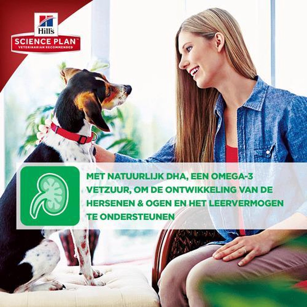 Hill's Puppy Small/Miniature - voeding voor kleine hondenrassen thumbnail 3