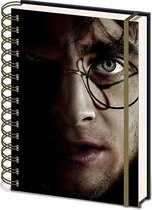 Harry Potter Harry & Voldemort 3D Cover- A5 3D Lenticular Notitieboek