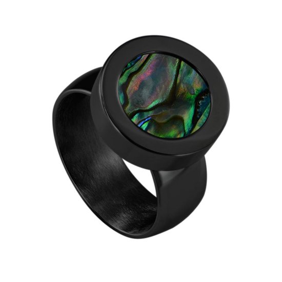 Quiges Ring de système de vis en acier inoxydable Zwart brillant 16 mm avec Mini pièce interchangeable de 12 mm - SLSRS55216