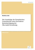 Die Grundzüge des Europäischen Umweltrechts unter besonderer Berücksichtigung der Öko-Audit-Verordnung