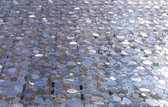 Hoogwaardig Transparant Tafellaken - Tafelzeil - Tafelkleed - Doorschijnend - Dessin met reliëf - Soepel - Afwasbaar - Rechthoekig - 140cm x 200cm - Stones