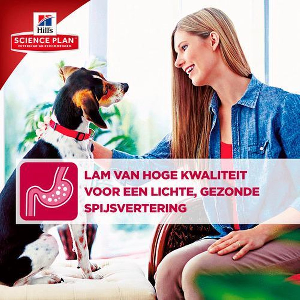 Hill's Canine Adult Advanced Fitness Lam/Rijst 12 KG thumbnail 2