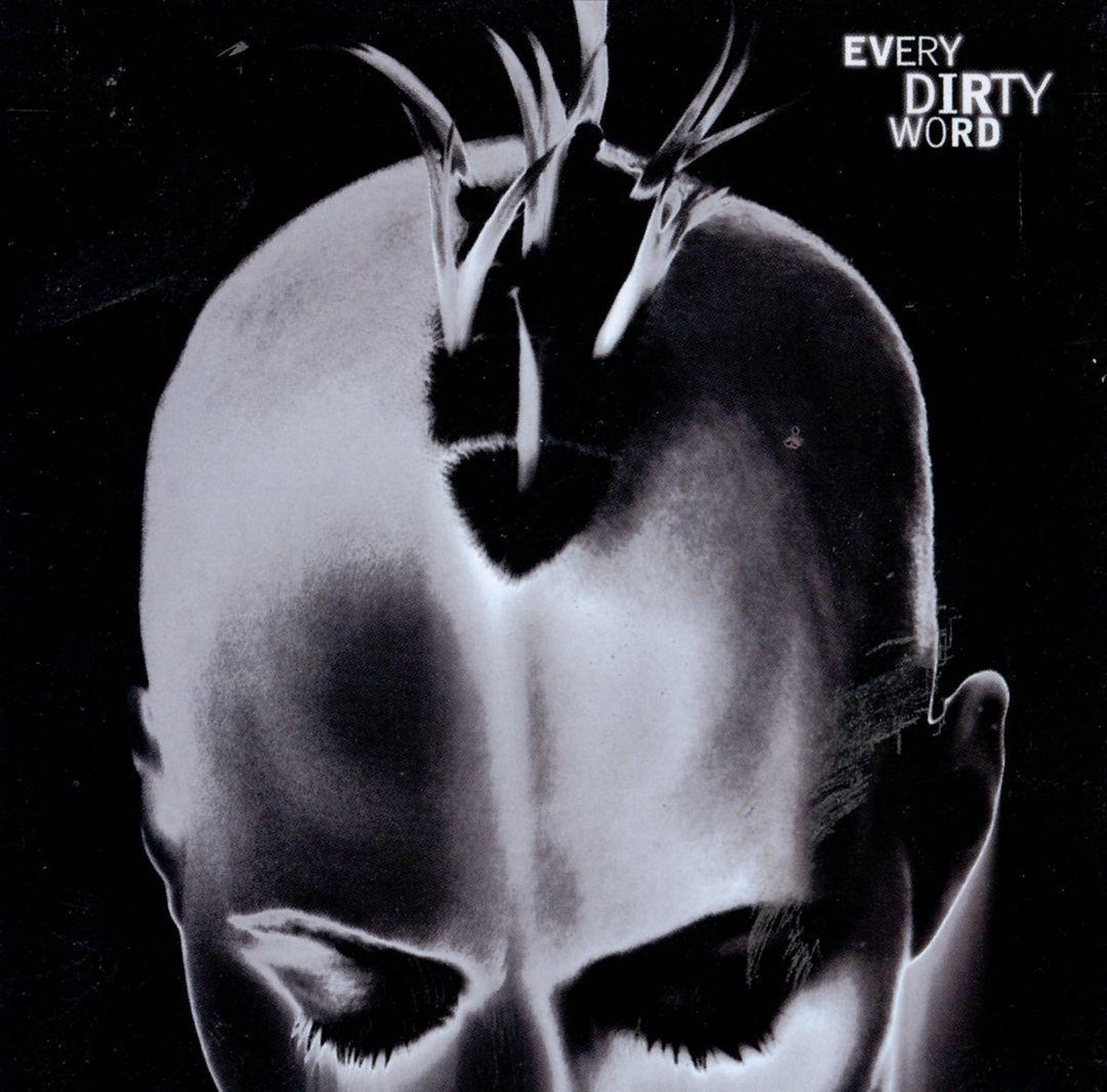 Every Dirty Word