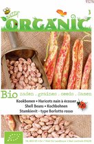 Buzzy Organic Stamslaboon Kievit laag (BIO) 15 gram