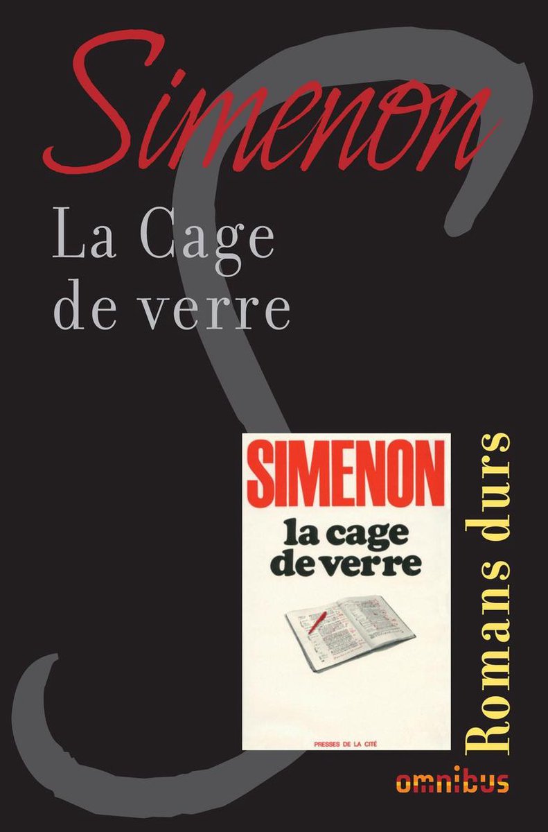 La cage de verre (ebook), Georges Simenon | 9782258098183 | Livres | bol.com