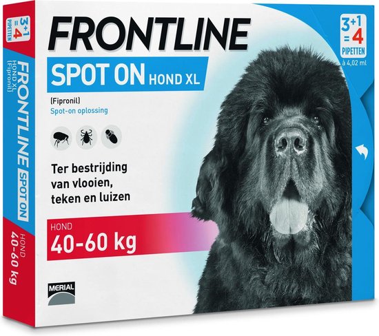 bewaker textuur ondernemen Frontline Spot-On XL Anti vlooienmiddel - Hond - 4 pipetten | bol.com