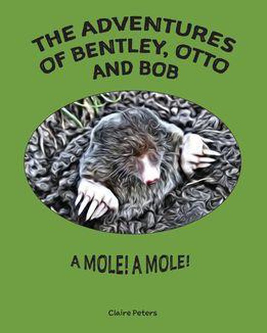 The Adventures of Bentley, Otto and Bob 2 - The Adventures o ... - cover
