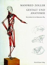 Gestalt und Anatomie