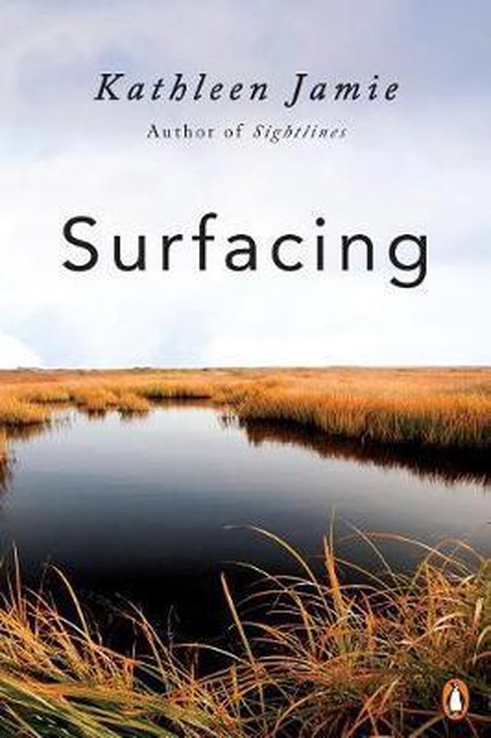 Surfacing - cover