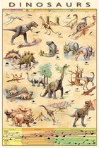 Poster dinosauriers 61 x 91 cm
