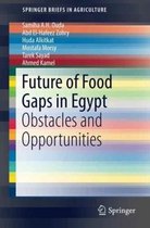 Future of Food Gaps in Egypt