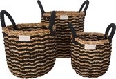 Savar Zeegras Opbergmand / Mand set van 3 ( S / M / L )
