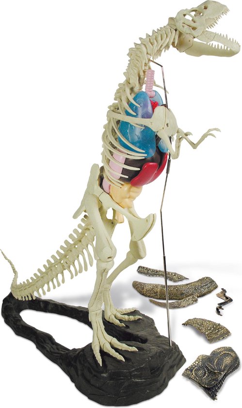 Blijkbaar dinosaurus hek Geoworld T-Rex levensechte Dinosaurus replica met huid en organen ( bouwpakket 150... | bol.com